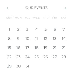 calendar icon